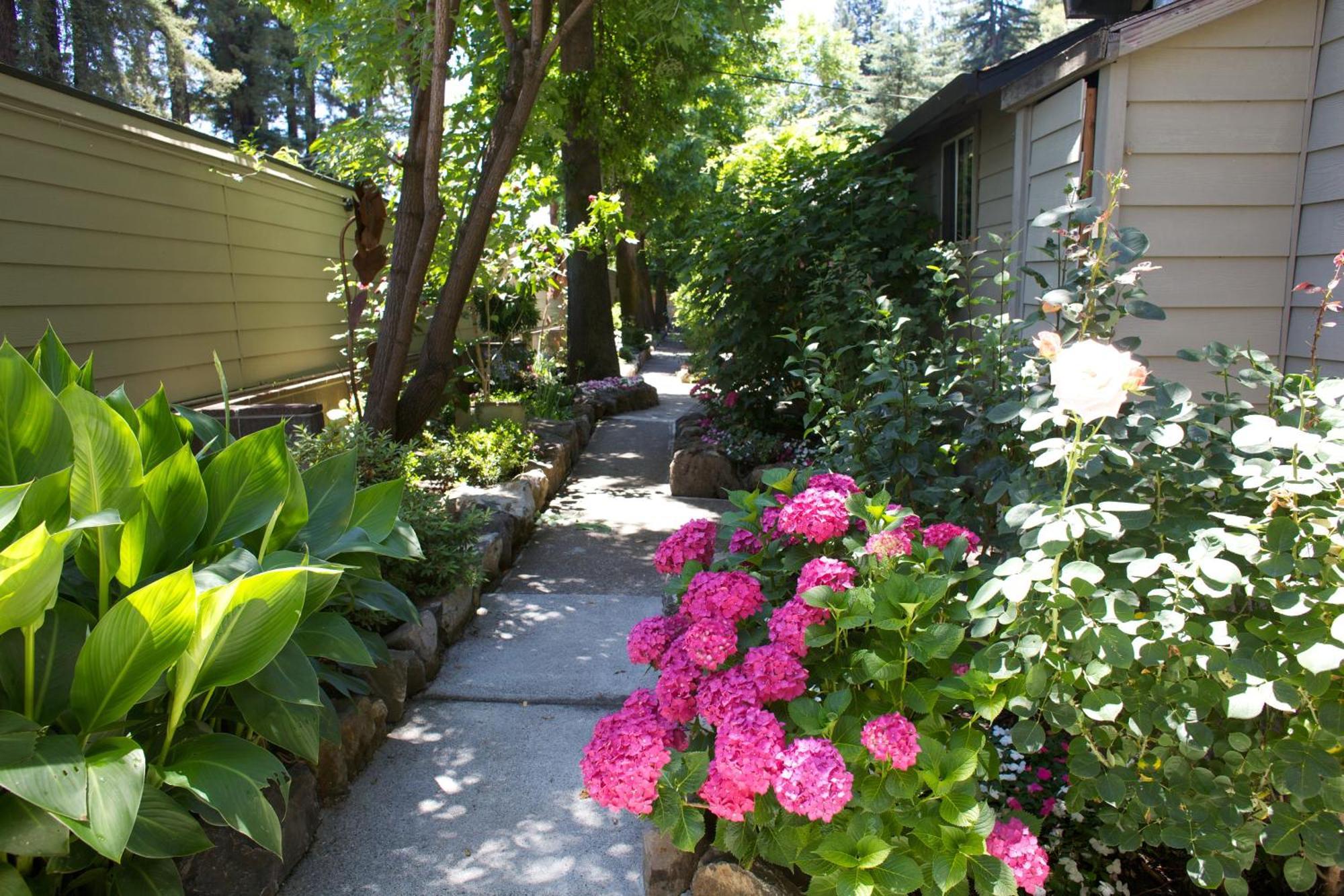 Cottages On River Road Guerneville Exterior photo